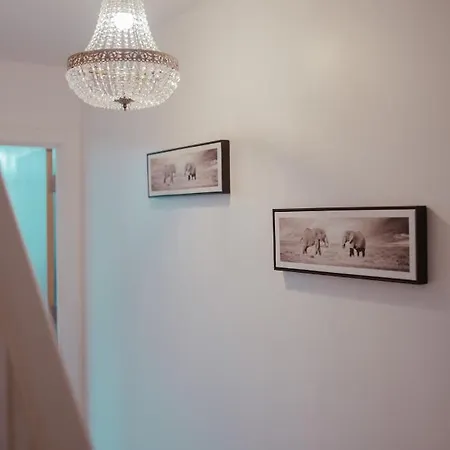 Apartment Bv Luxury Penthouse Conditioning House