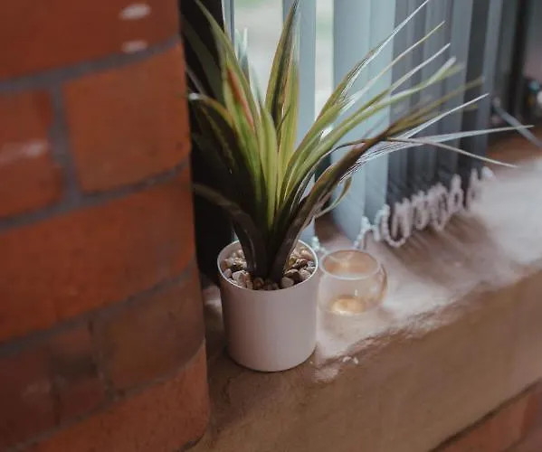 Bv Luxury Penthouse Conditioning House 公寓 布雷得佛