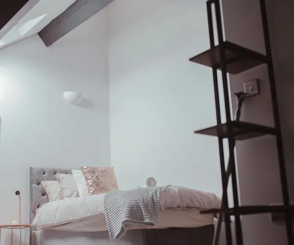 Bv Luxury Penthouse Conditioning House 公寓 布雷得佛